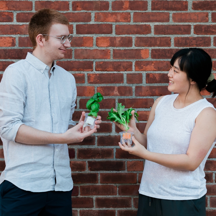 Soilless | Julie Joo & Westen Johnson | 2020
