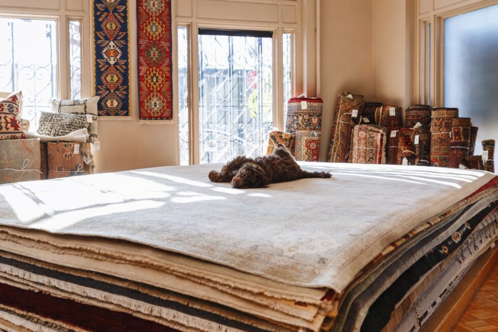 Rustigian Rugs